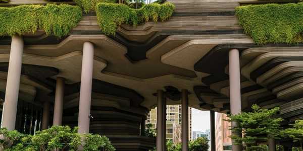 The Potential Of Biophilic Real Estate: Homes That Reconnect With Nature